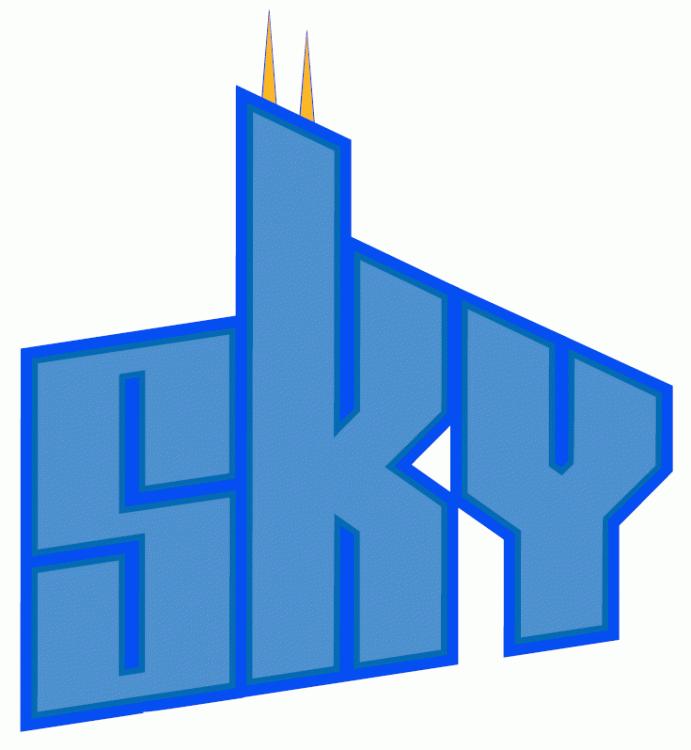 Chicago Sky 2006-Pres Wordmark Logo v3 iron on transfers for clothing